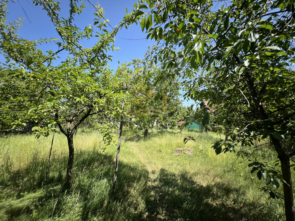 Casa individuala de vanzare | Someseni | Teren - 851 mp