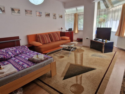 Apartament de o camera semidecomandat | Manastur