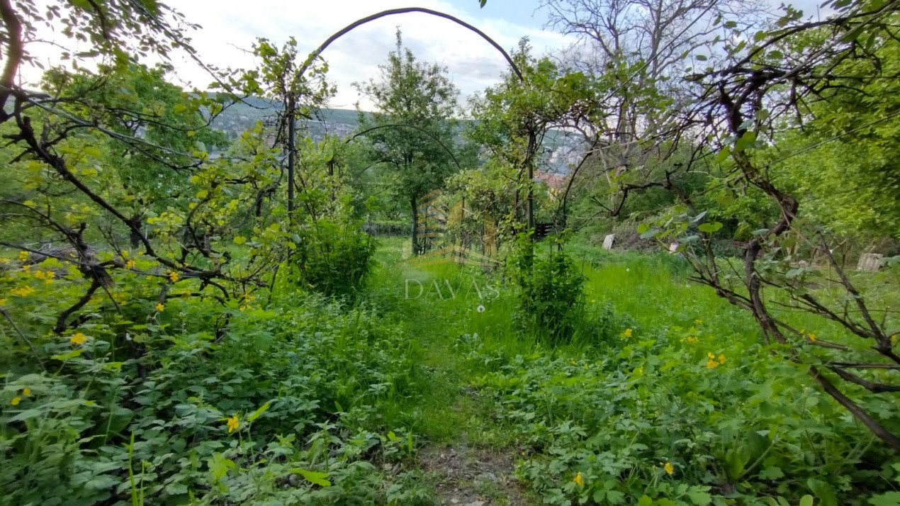 Casa alipita de vanzare | Gruia | Teren 890mp