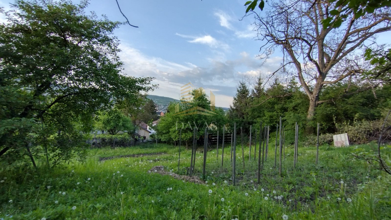 Casa alipita de vanzare | Gruia | Teren 890mp