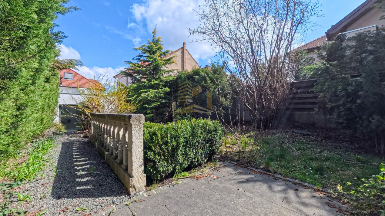 Spatiul comercial de închiriat | Andrei Muresanu