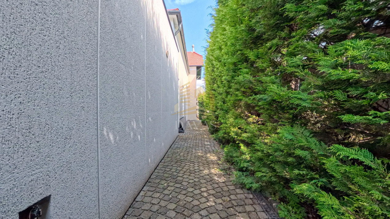 Spatiul comercial de închiriat | Andrei Muresanu