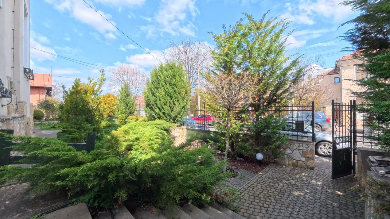 Spatiul comercial de închiriat | Andrei Muresanu