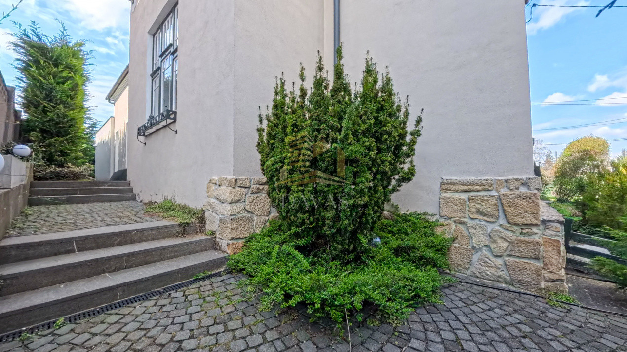 Spatiul comercial de închiriat | Andrei Muresanu