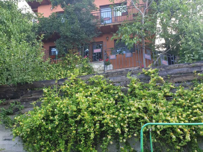 Casa cu 4 camere de inchiriat | Grigorescu | zona linistita.