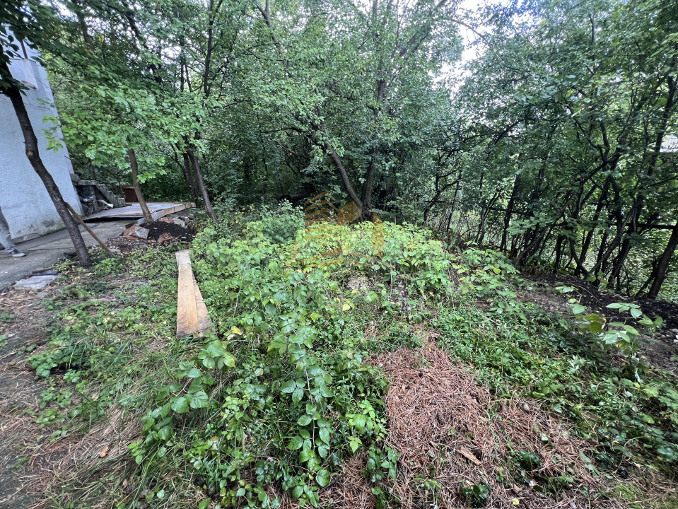 Casa individuala | Ideala pentru investitie 500 mp teren | Andrei Muresanu